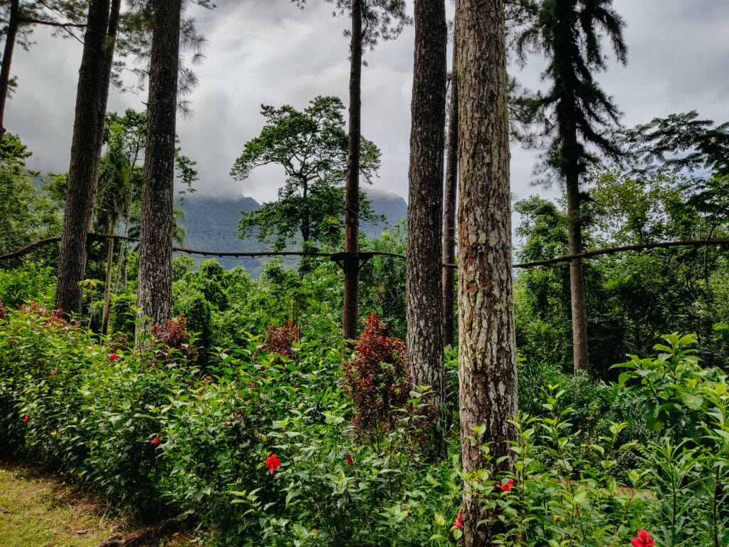 Moorea Sehenswürdigkeiten, Französisch Polynesien