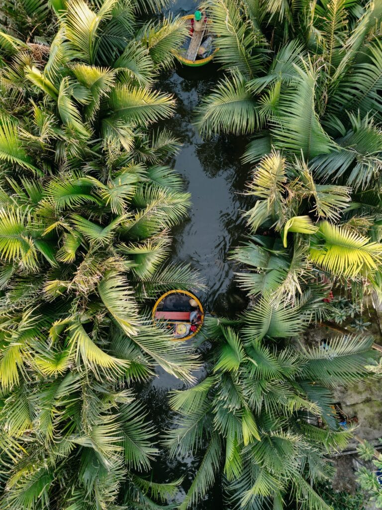 Basket Boat Tour, Hoi An, Vietnam