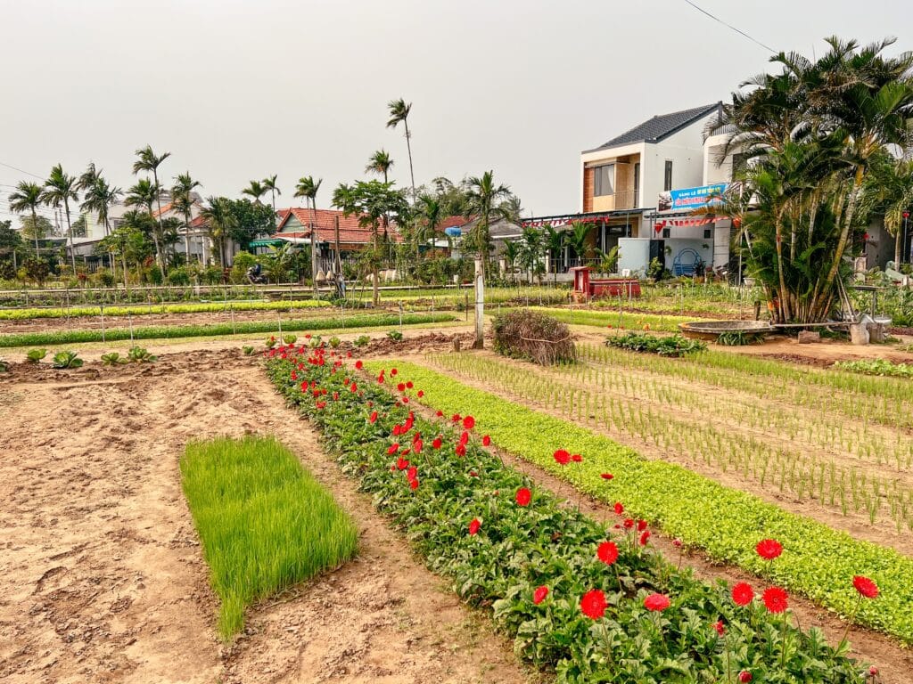 Hoi An Sehenswürdigkeiten, Vietnam