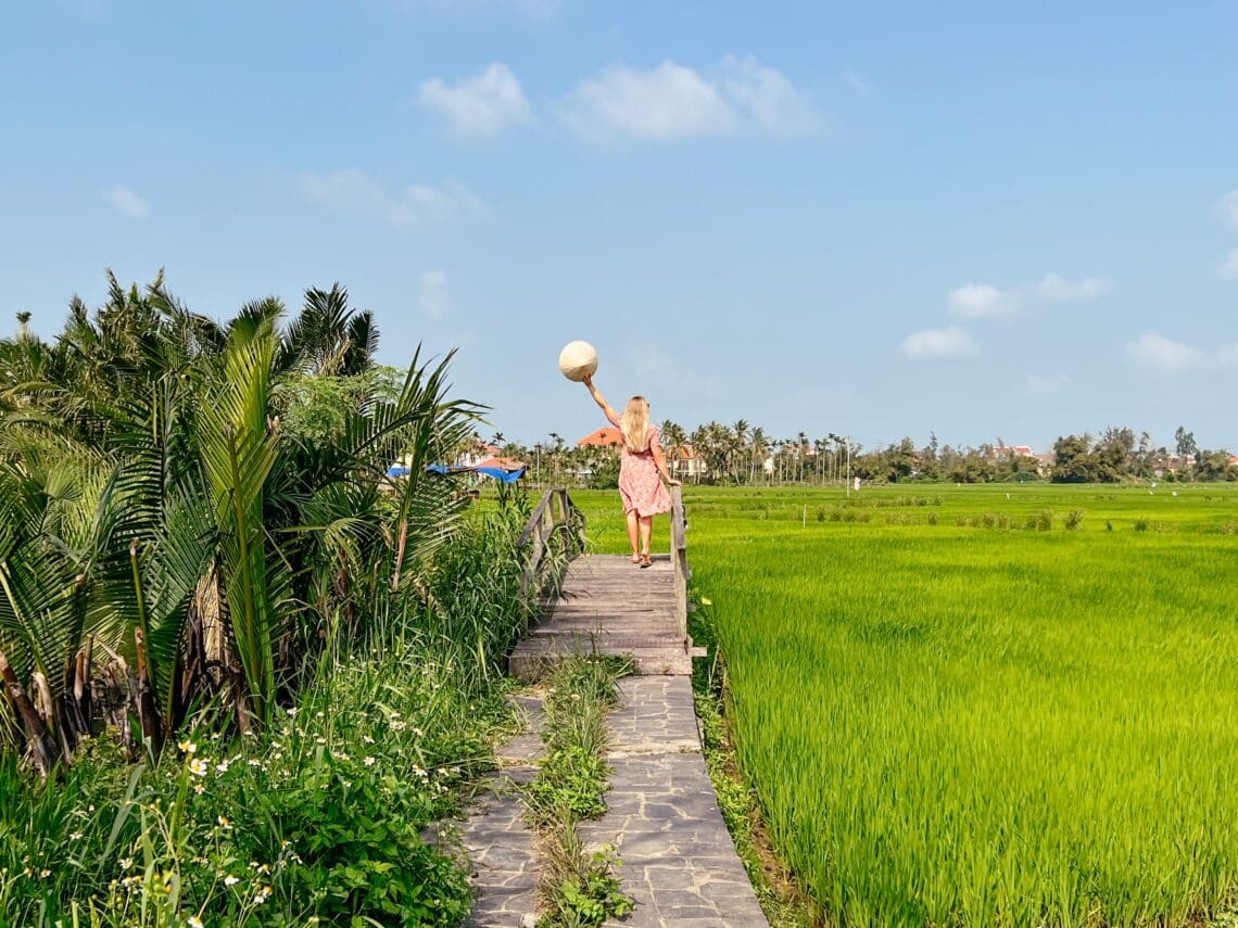 Hoi An Reisfelder, Vietnam