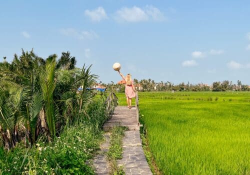 Hoi An Reisfelder, Vietnam