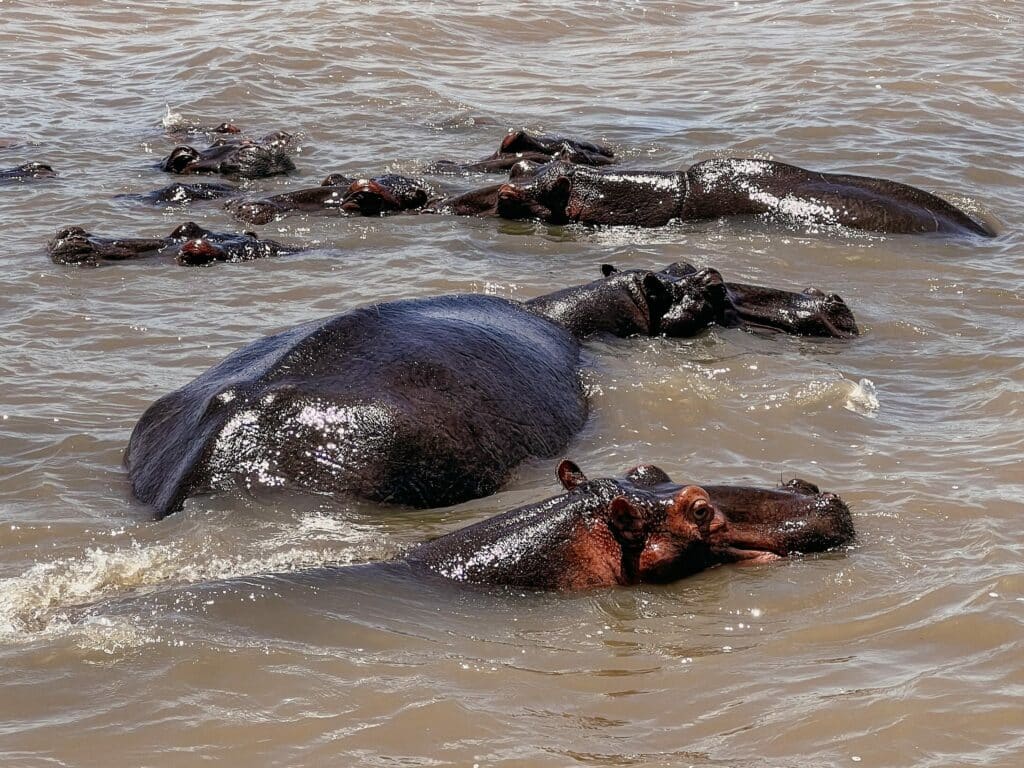 iSimangaliso Nationalpark Südafrika