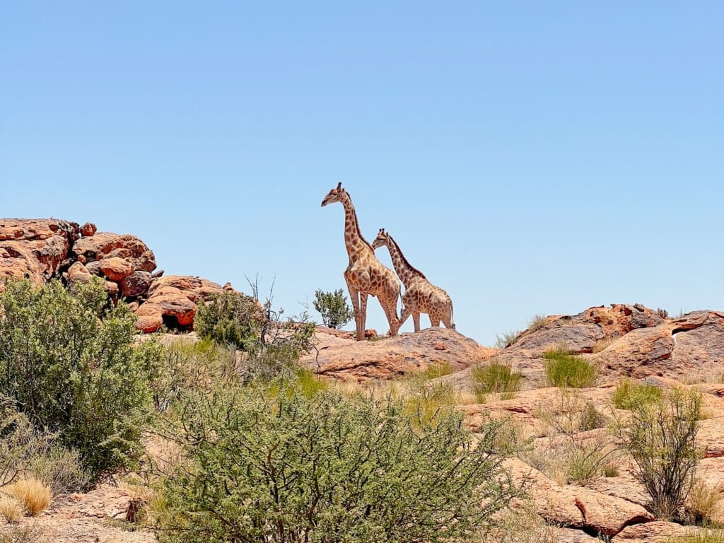 Augrabies Nationalpark, Südafrika Sehenswürdigkeiten