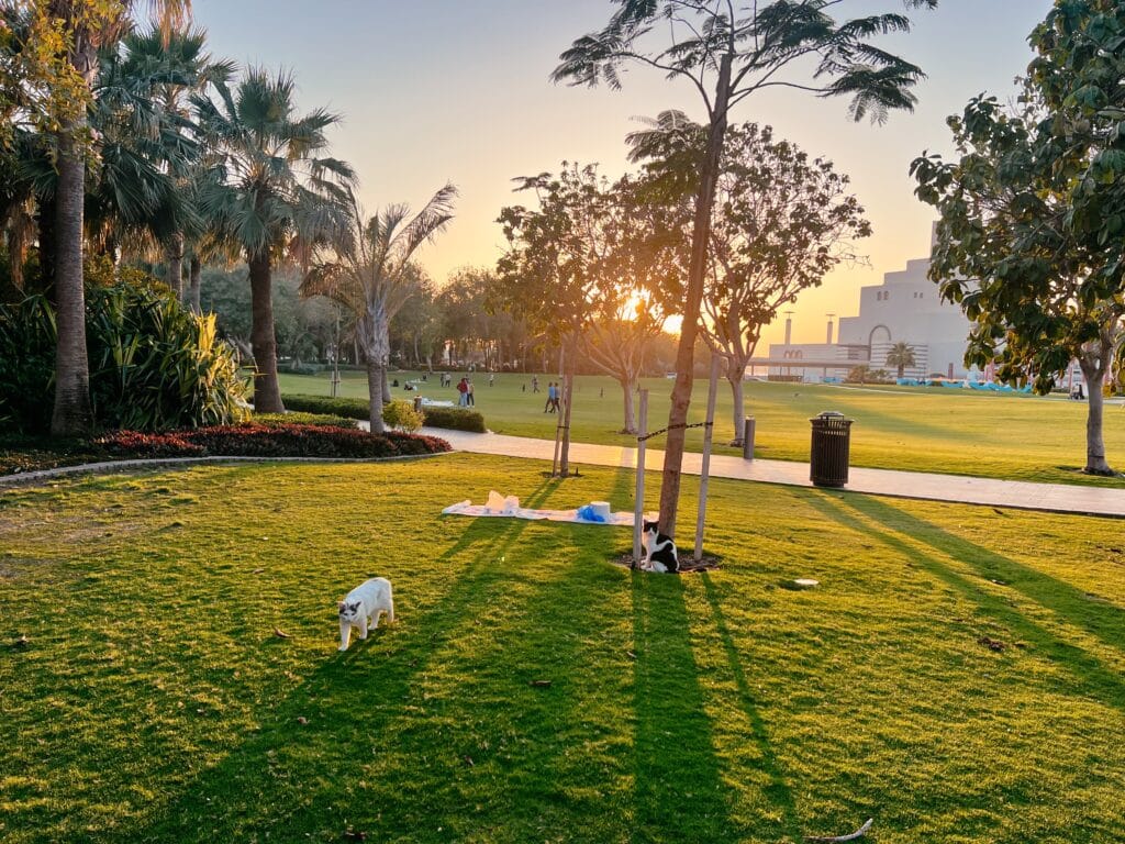Mia Park, Doha Sehenswürdigkeiten, Katar