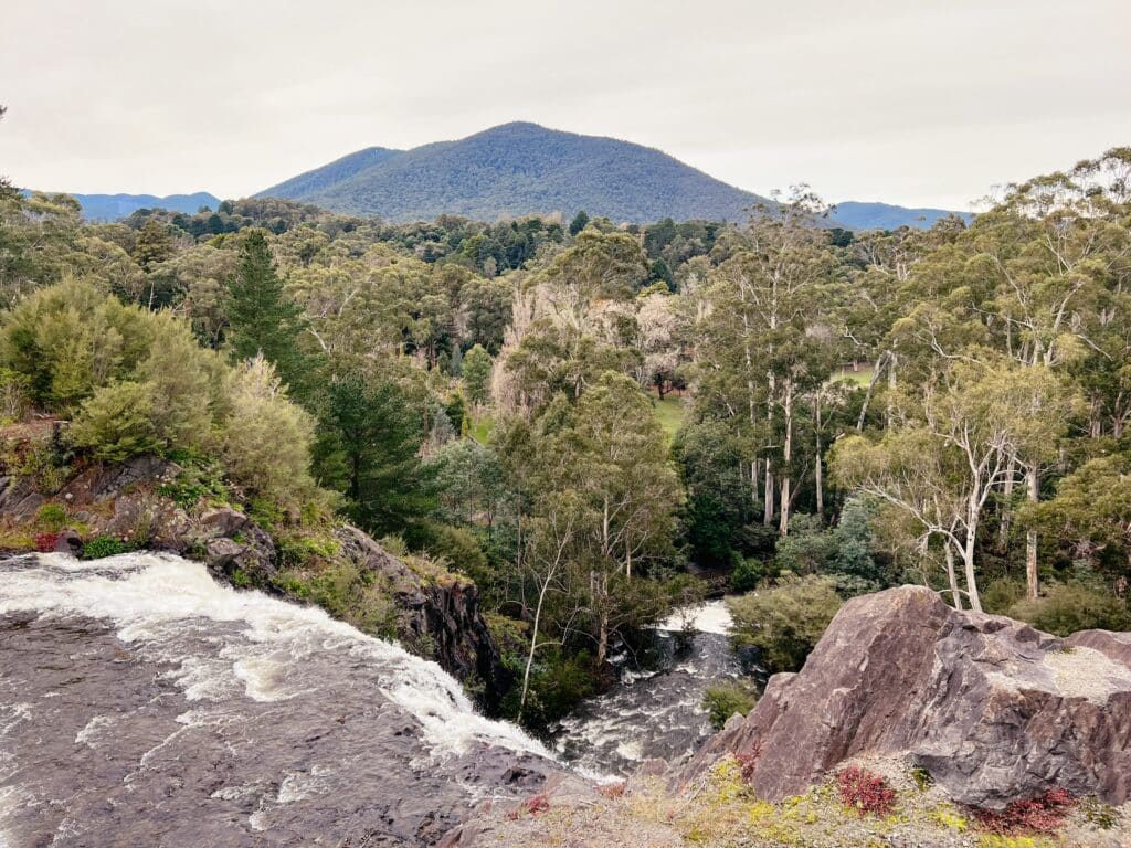 Yarra Ranges National Park, Australien