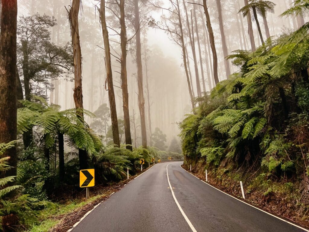 Yarra Ranges National Park, Australien