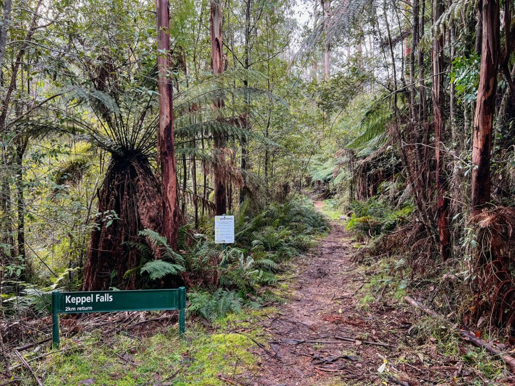 Yarra Ranges National Park, Australien