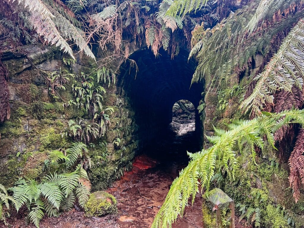 Yarra Ranges National Park, Australien