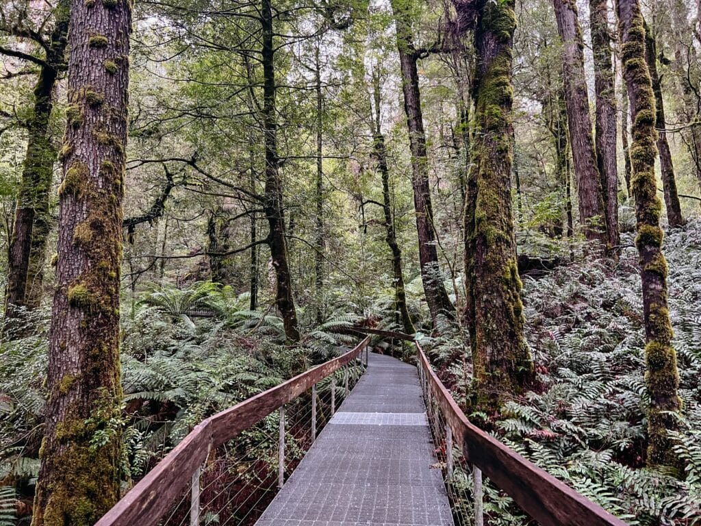 Yarra Ranges National Park, Australien
