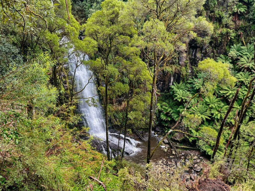 Erskine Falls, Great Ocean Road Sehenswürdigkeiten, Australien