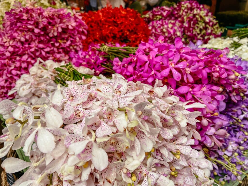 Flower Market, Bangkok Sehenswürdigkeiten, Thailand