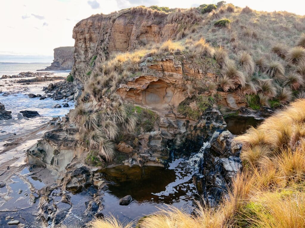 Shelley Beach, George Bass Coastal Walk, Australien