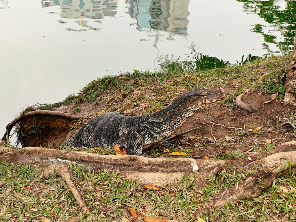 Lumpini Park, Bangkok, Thailand