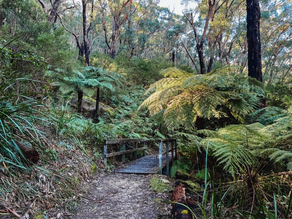 Wilsons Promontory Nationalpark, Australien