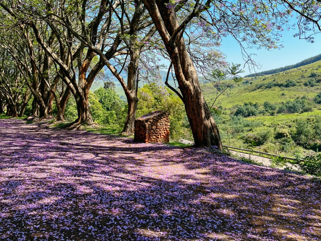 Pilgrims Rest, Panorama Route Sehenswürdigkeiten, Südafrika