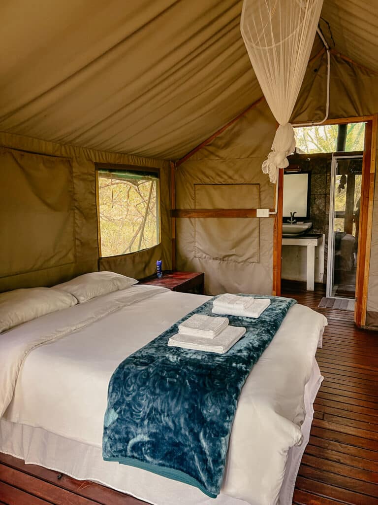 Kruger Nationalpark Übernachten, Manyeleti Game Reserve