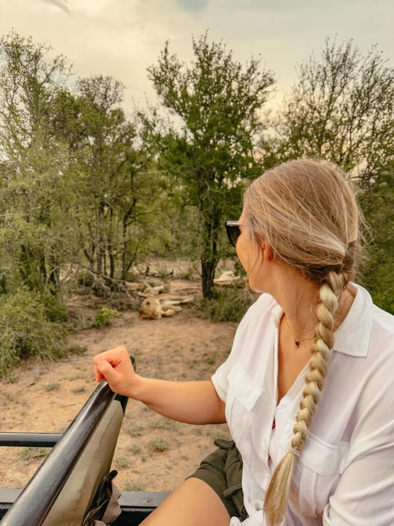 Kruger Nationalpark Übernachten, Manyeleti Game Reserve