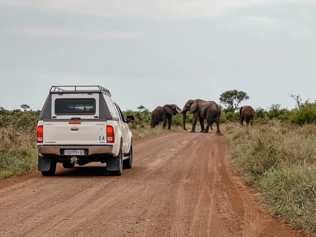 Kruger Nationalpark Selbstfahrer - S28 Südafrika