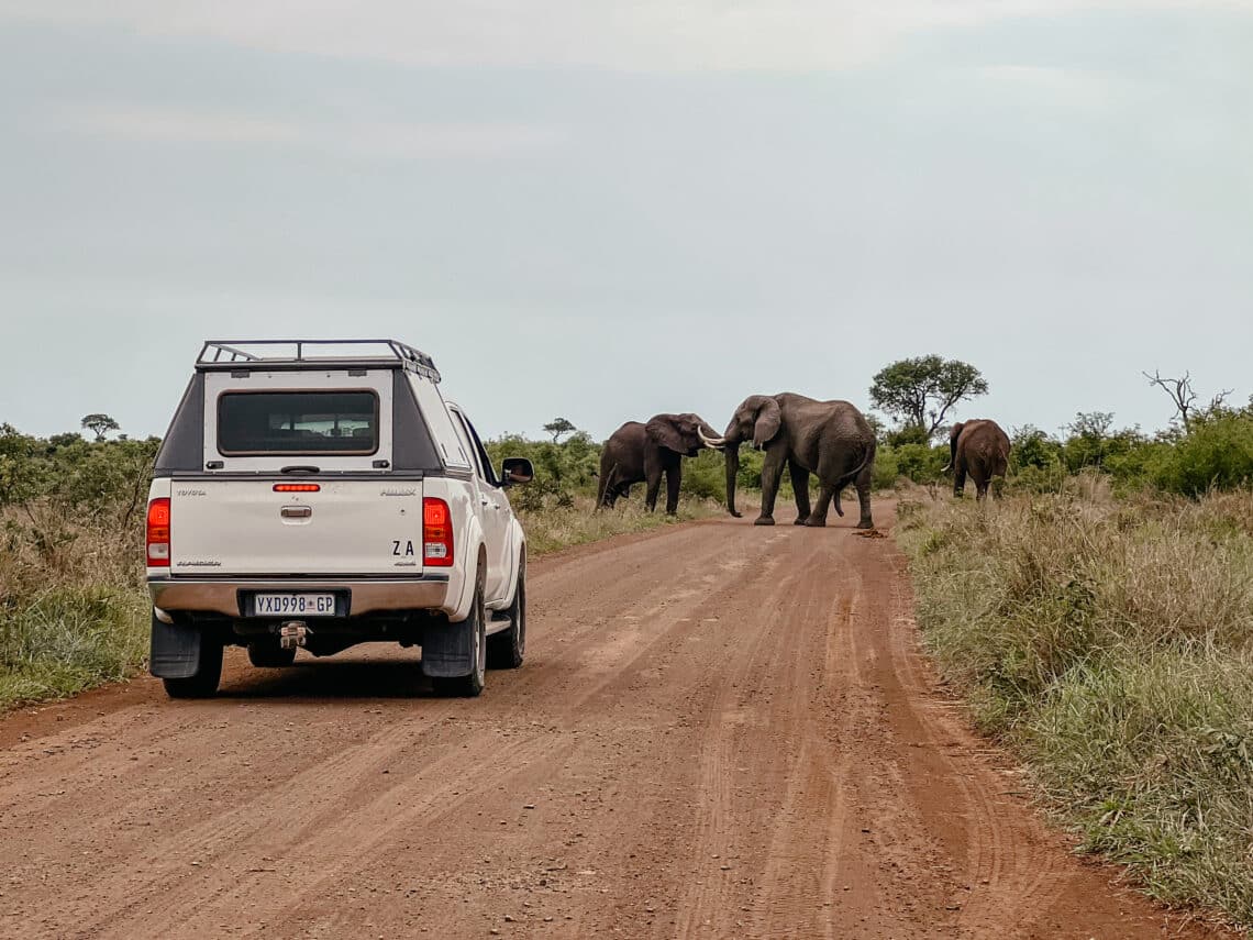 Kruger Nationalpark Selbstfahrer - S28 Südafrika
