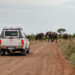 Kruger Nationalpark Selbstfahrer - S28 Südafrika