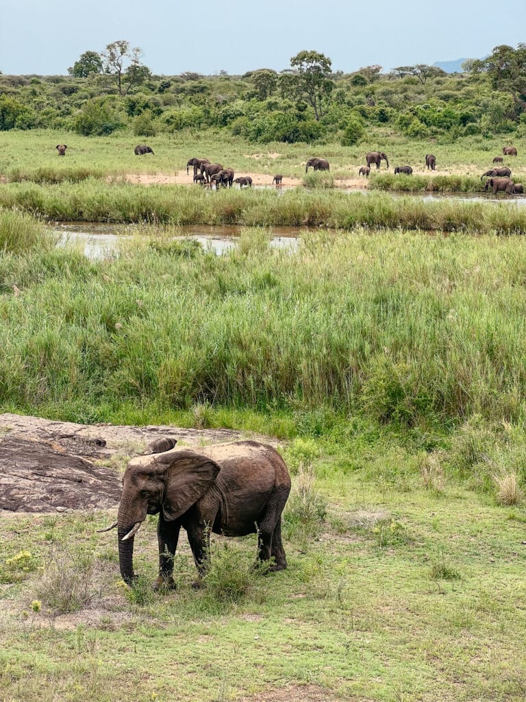 Kruger Nationalpark Übernachten, Lower Sabie Main Camp
