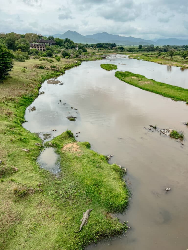 Kruger Nationalpark Selbstfahrer Südafrika