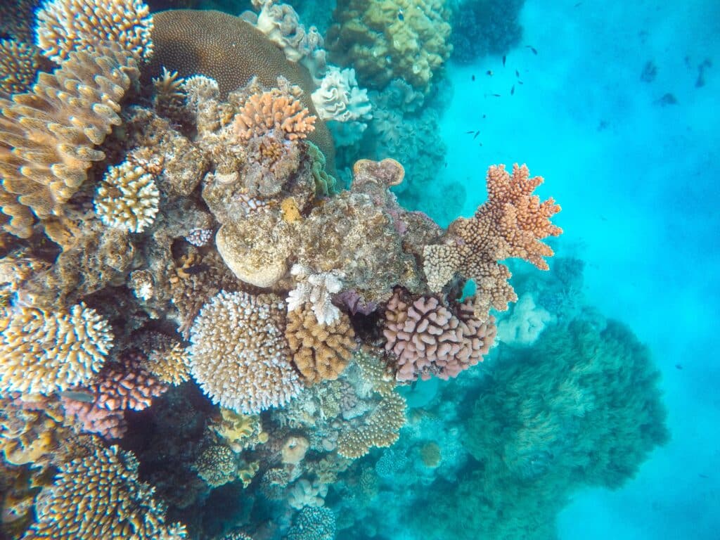 Great Barrier Reef, Ostküste Sehenswürdigkeiten, Australien
