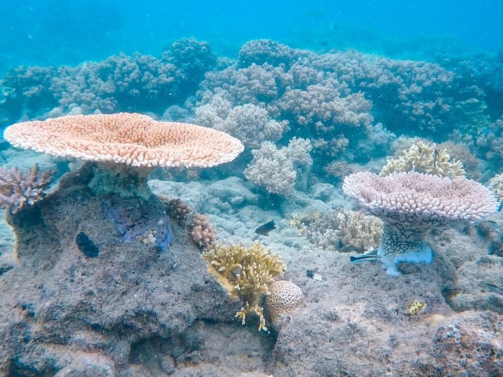 Airlie Beach, Whitsunday Islands, Ostküste, Australien Sehenswürdigkeiten