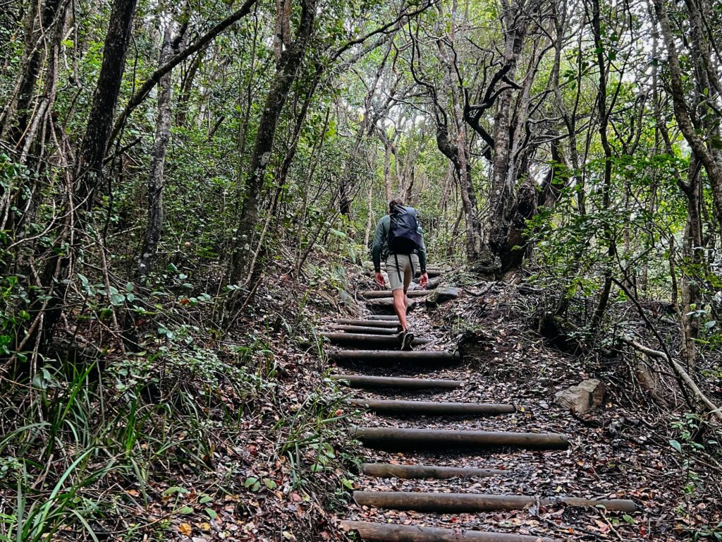 Tsitsikamma Nationalpark, Garden Route, Südafrika