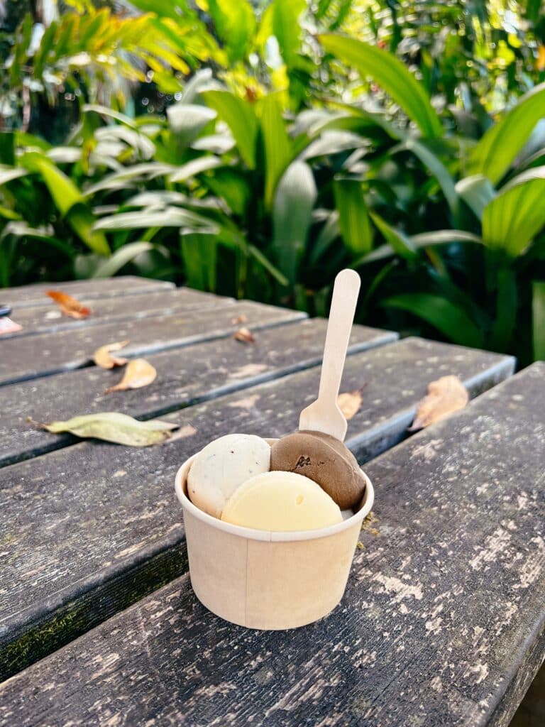 Daintree Ice Cream Company, Daintree Rainforest, Cape Tribulation, Australien Ostküste