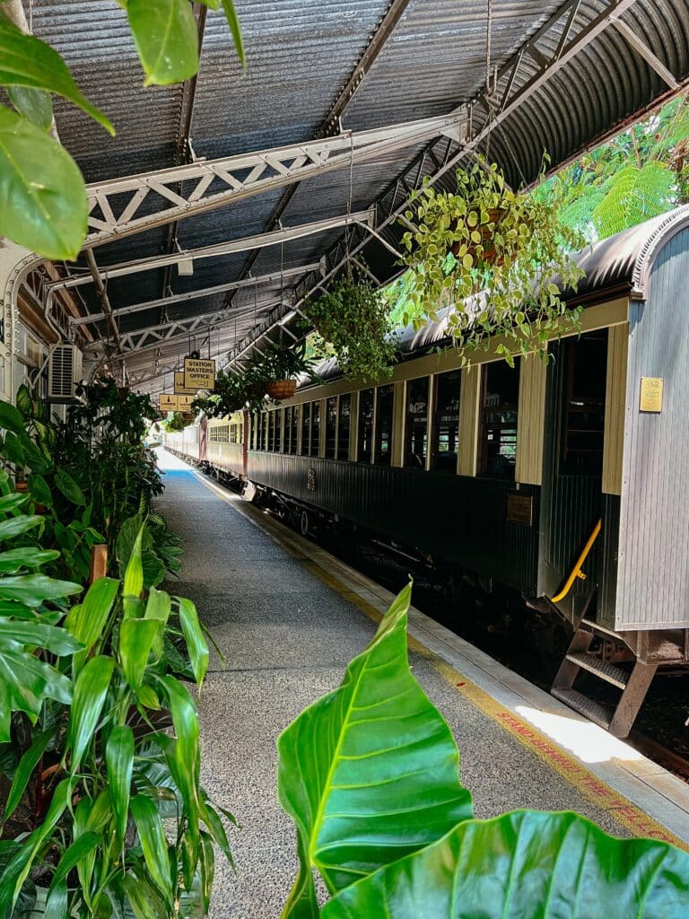 Kuranda Sehenswürdigkeiten, Ostküste Australien