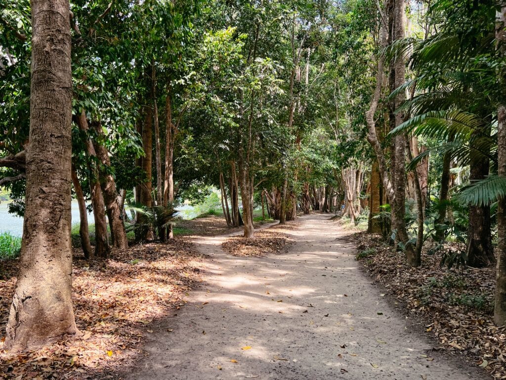 Kuranda Sehenswürdigkeiten, Ostküste Australien