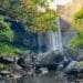 Cairns Sehenswürdigkeiten, Zillie Falls, Ostküste, Australien