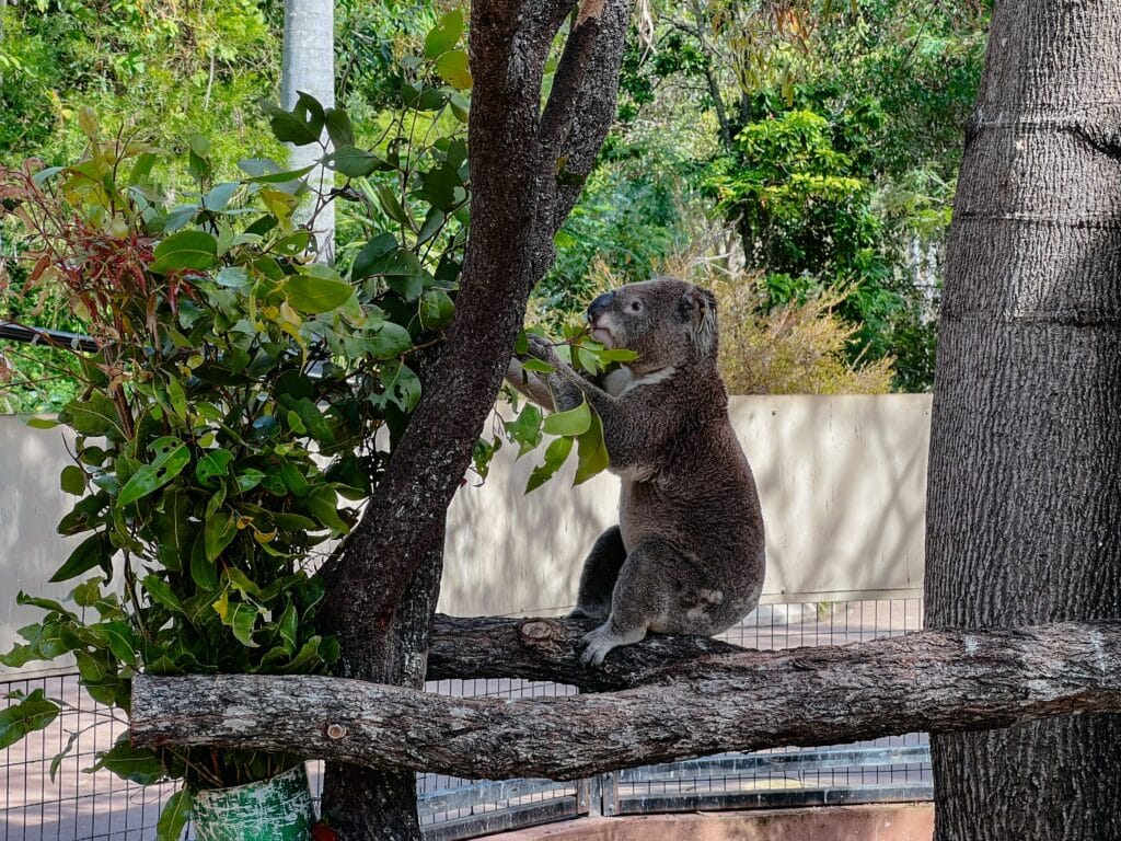 Ostküste Australien Sehenswürdigkeiten