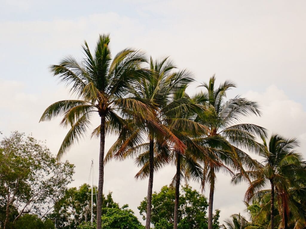 Port Douglas Sehenswürdigkeiten, Ostküste, Australien