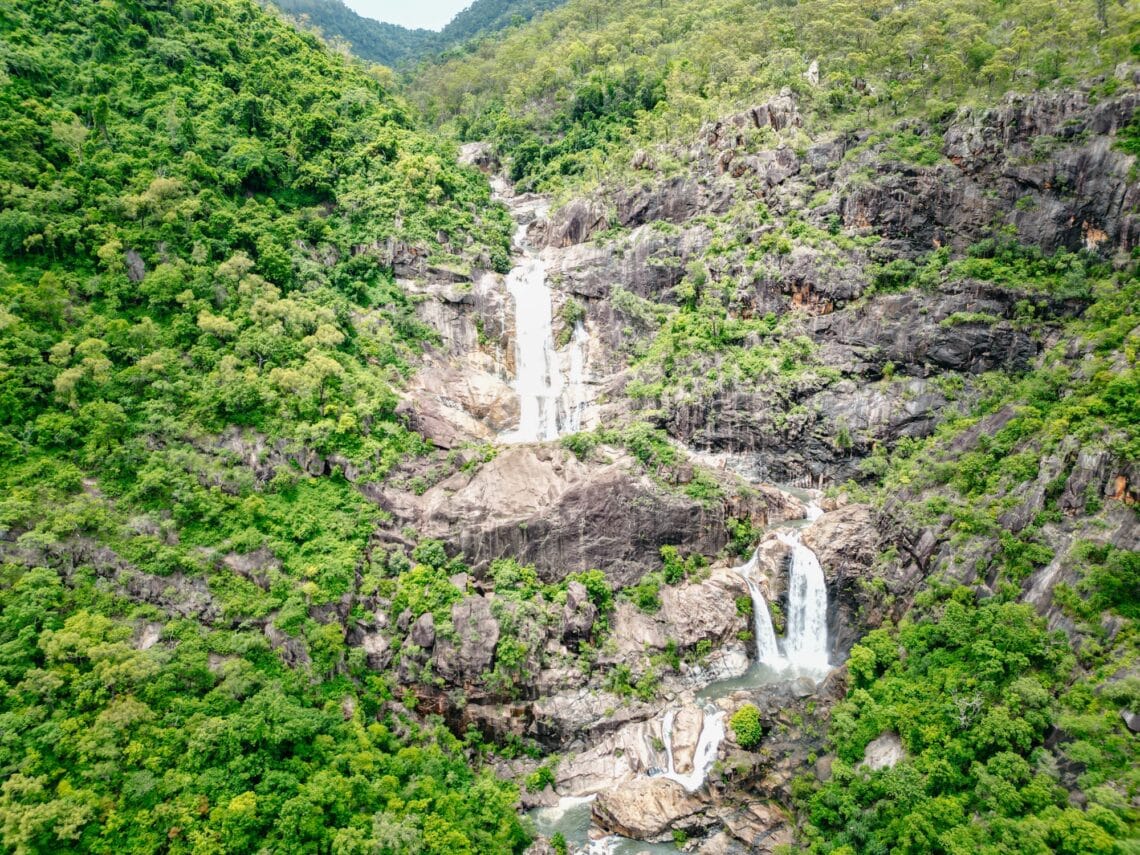 Paluma Range Nationalpark, Townsville Sehenswürdigkeiten, Ostküste, Queensland, Australien