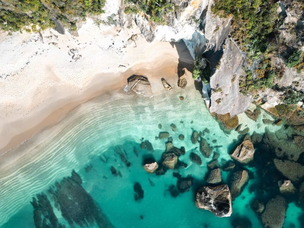 Neuseeland Roadtrip Nordinsel, Coromandel Peninsula