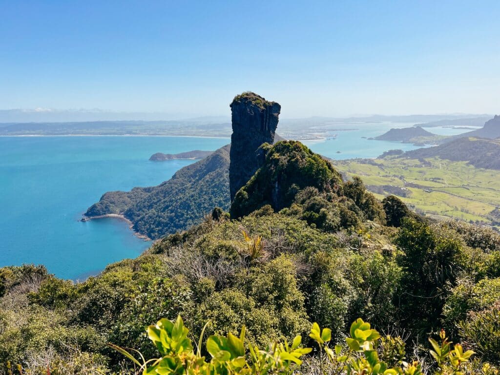 Neuseeland Roadtrip Nordinsel, Whangarei