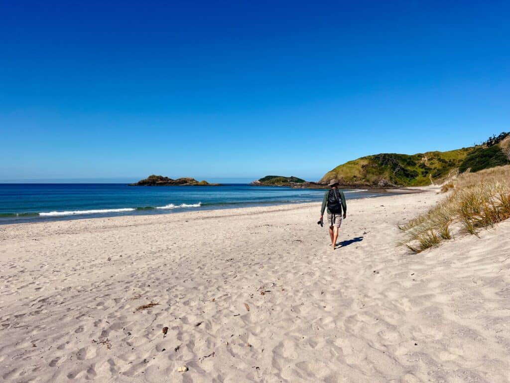 Bream Head, Whangarei Sehenswürdigkeiten, Nordinsel, Neuseeland