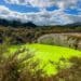 Rotorua Sehenswürdigkeiten, Neuseeland, Wai O Tapu