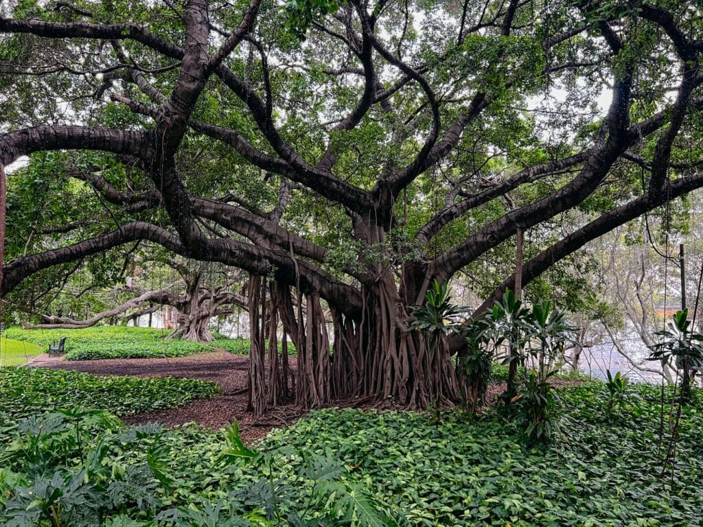Brisbane Sehenswürdigkeiten, Ostküste, Australien