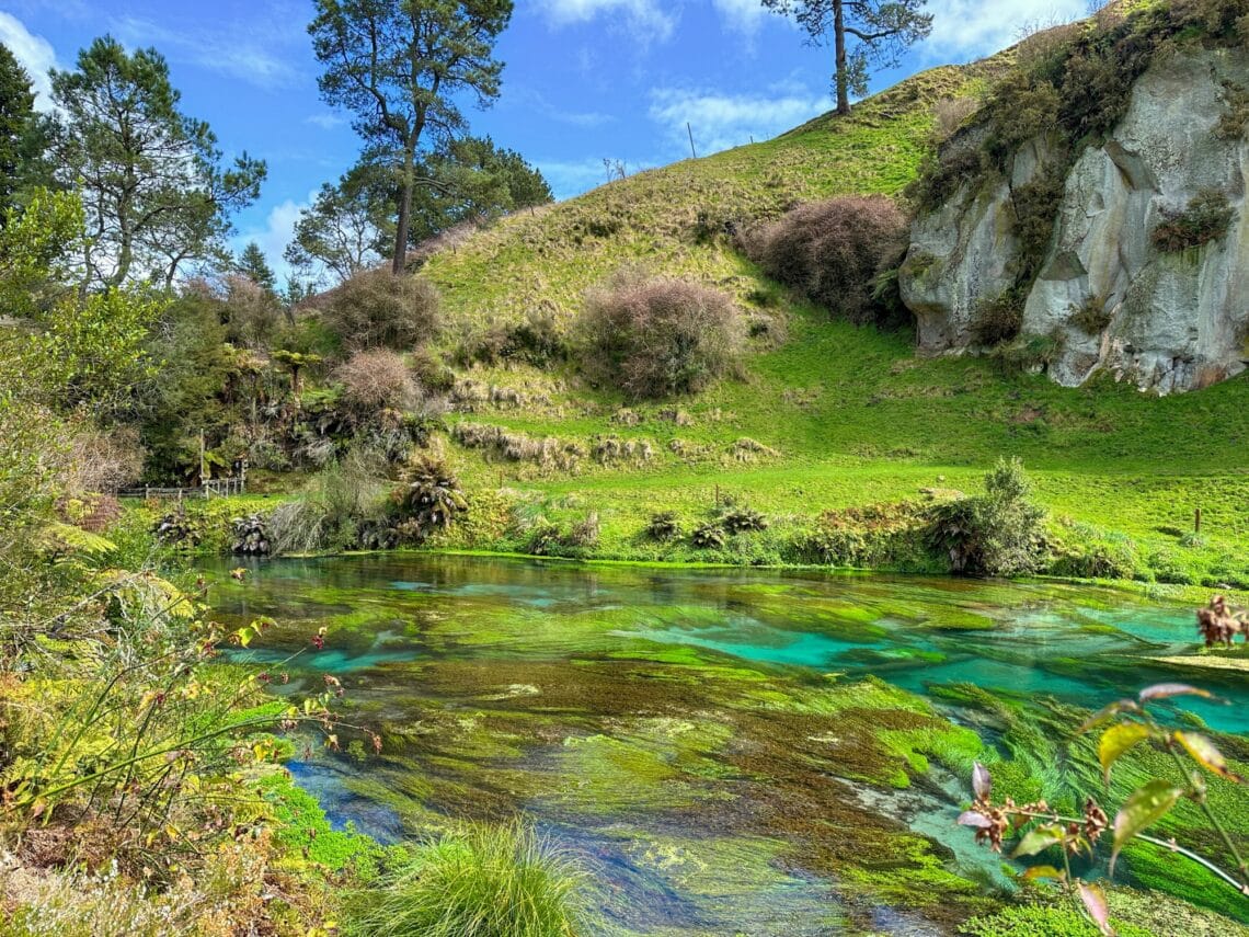 Blue Springs, Putaruru, Nordinsel, Neuseeland Wandern