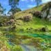 Blue Springs, Putaruru, Nordinsel, Neuseeland Wandern