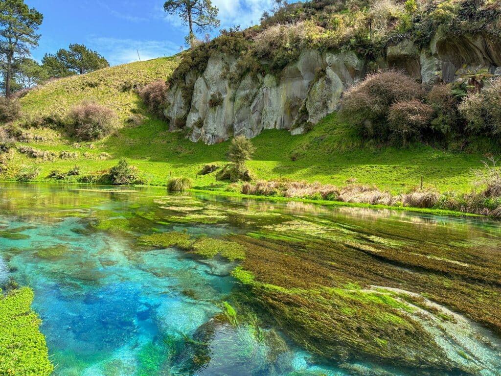 Blue Springs, Putaruru, Nordinsel, Neuseeland Wandern