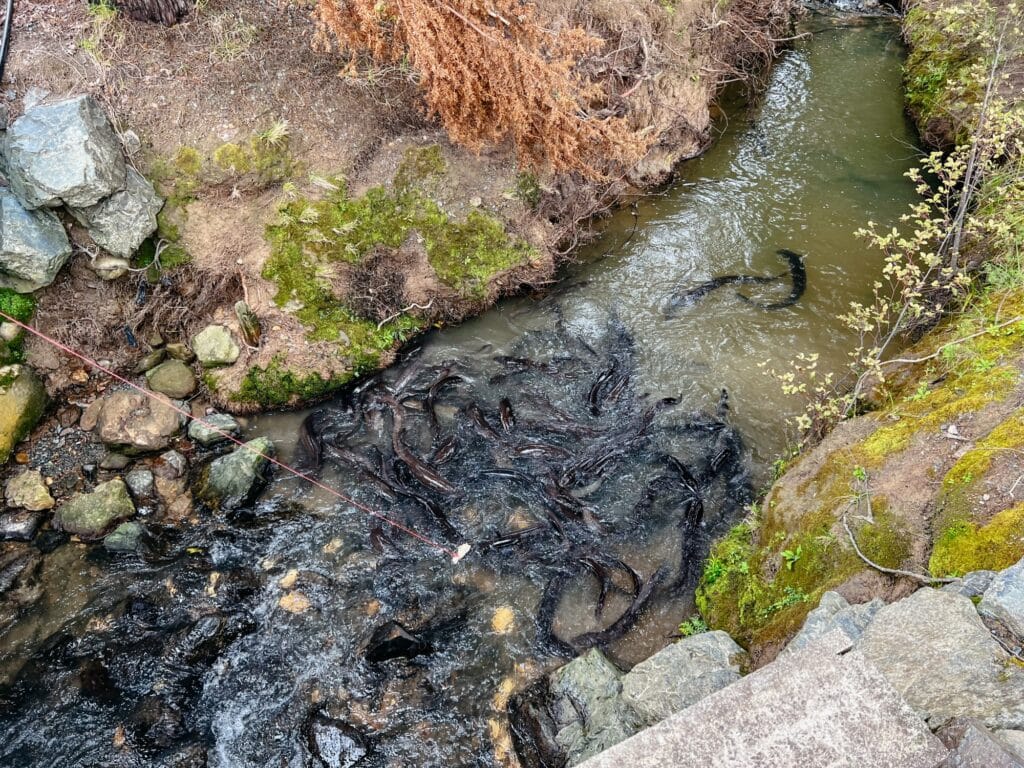 Mangawhai Sehenswürdigkeiten, Nordinsel, Neuseeland