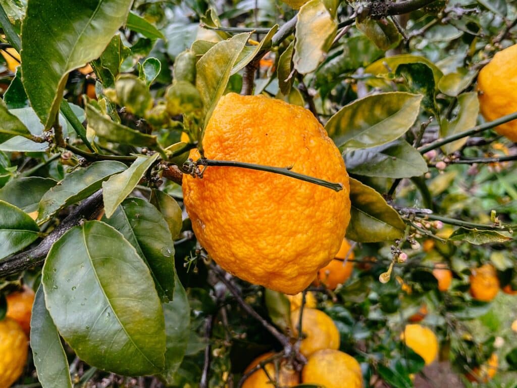 Mangawhai Sehenswürdigkeiten, Nordinsel, Neuseeland