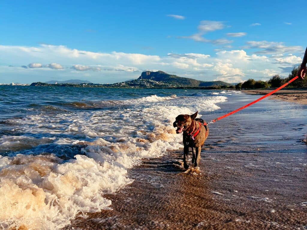 Townsville Sehenswürdigkeiten, Ostküste, Australien