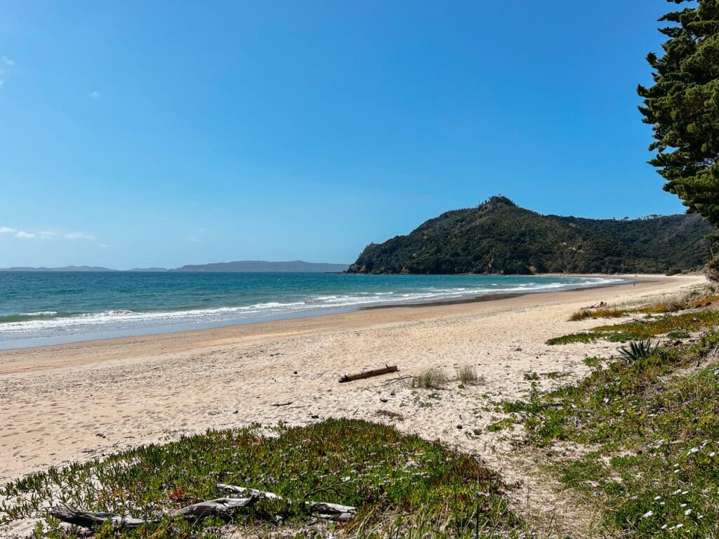  Coromandel Peninsula Sehenswürdigkeiten, Nordinsel, Neuseeland,
