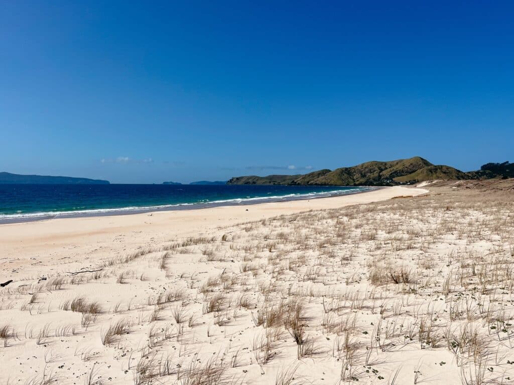 Otama Beach, Coromandel Peninsula Sehenswürdigkeiten, Nordinsel, Neuseeland,