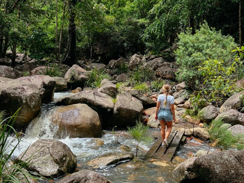 Paluma Range Nationalpark, Townsville Sehenswürdigkeiten, Ostküste, Queensland, Australien